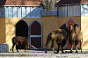 Tierpark Aachen Tierpark Aachen