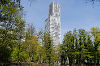 MediaPark und KölnTower