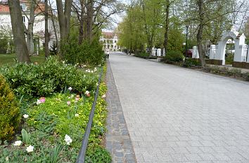 Bad Schmiedeberg Bad Schmiedeberg