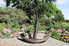 Kurpark in Eckernförde Kurpark in Eckernförde