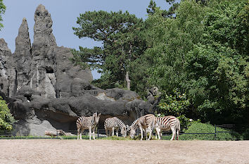 Tierpark Hagenbeck
